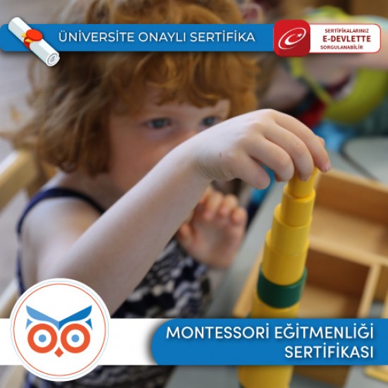 Montessori Eğitmenliği Sertifikası